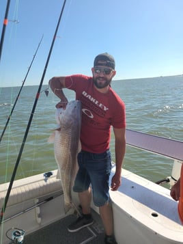 Bay Fishing  - Sharks & Drum