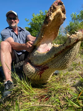 Alligator Hunting in Fort Lauderdale, Florida