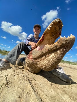 Alligator Hunting in Fort Lauderdale, Florida