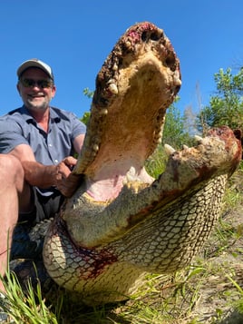 Alligator Fishing in Fort Lauderdale, Florida