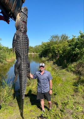 Alligator Hunting in Fort Lauderdale, Florida