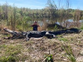 Alligator Hunting in Fort Lauderdale, Florida