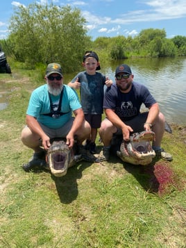 Alligator Hunting in Fort Lauderdale, Florida