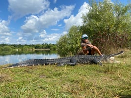 Iguana Hunting in Fort Lauderdale, Florida