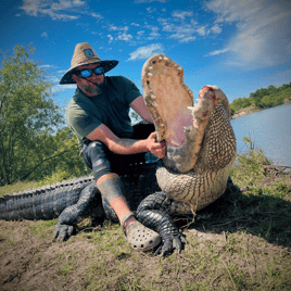 Alligator Hunting in Fort Lauderdale, Florida