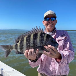 Sheepshead Fishing in Cape Coral, Florida