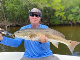 Redfish Fishing in Cape Coral, Florida