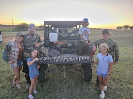 Dove Hunts