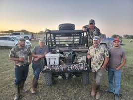 Dove Hunts