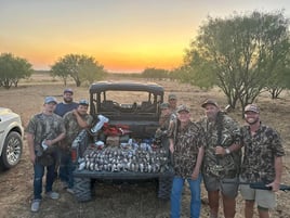 Dove Hunts