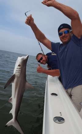 UFC Special – Redfish/Shark/Tarpon