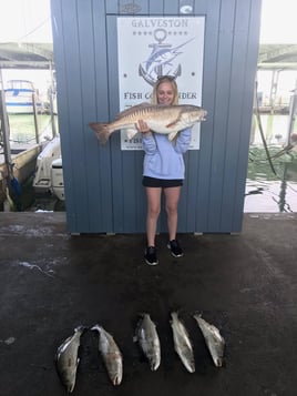 Half Day Inshore Trip