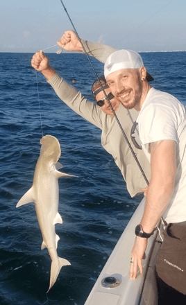 UFC Special – Redfish/Shark/Tarpon