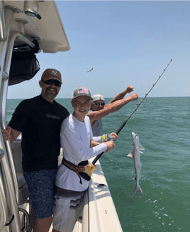 Shark Trip – Nearshore/Offshore