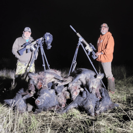 Hog Hunting in Rising Star, Texas