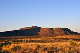 West Texas Semi Guided Quail Hunts