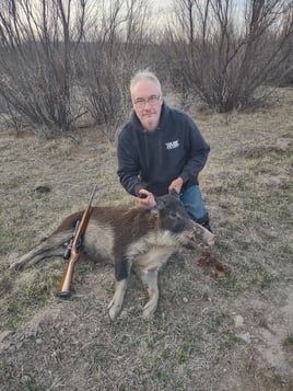 Hog Hunting in West, Texas