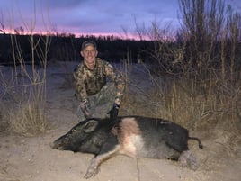 Hog Hunts