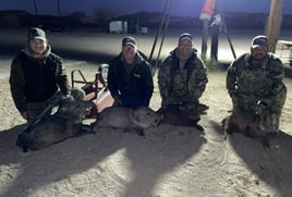 Hog Fishing in West, Texas