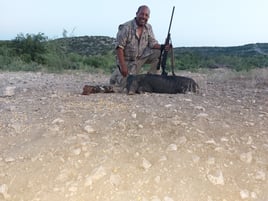 Hog Hunting in West, Texas