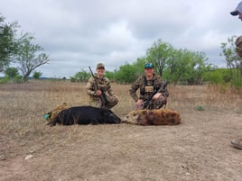 Hog Hunting in West, Texas