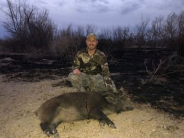 Hog Hunting in West, Texas