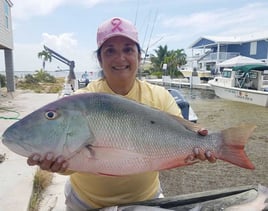 Mutton Snapper Fishing in Big Pine Key, Florida