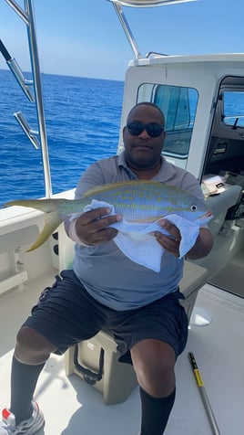 Yellowtail Snapper Fishing in Big Pine Key, Florida