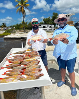 Lane Snapper Fishing in Big Pine Key, Florida