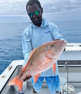 Mutton Snapper Fishing in Key West, Florida