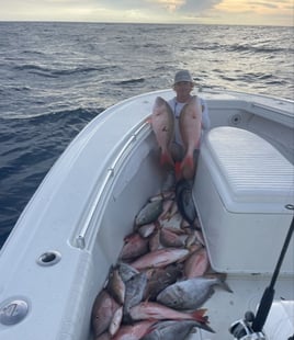 Mangrove Snapper, Mutton Snapper, Scup Fishing in Key West, Florida