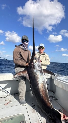 Swordfish Fishing in Key West, Florida