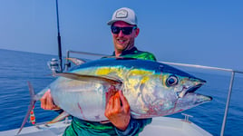 Blackfin Tuna Fishing in