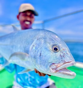 Giant Trevally Fishing in