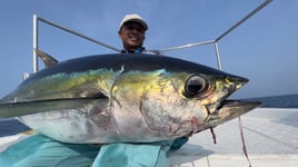 Blackfin Tuna Fishing in