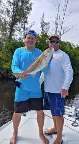 Redfish Fishing in Naples, Florida