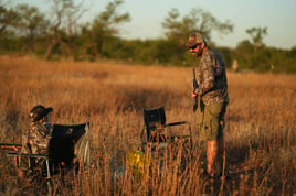 North Texas Dove Hunting