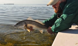 Redfish Fishing in Big Pine Key, Florida