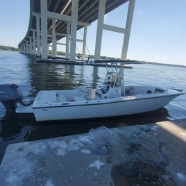 BILOXI PASCAGOULA BACK INSHORE AT ITS BEST