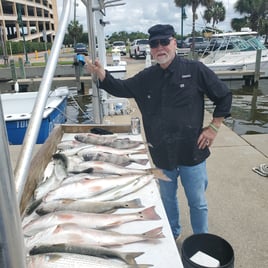 Black Drum, Redfish Fishing in Biloxi, Mississippi