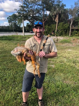 Iguana Hunting in West Palm Beach, Florida