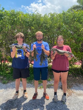 Iguana Hunting in West Palm Beach, Florida