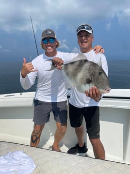 Triggerfish Fishing in Destin, Florida