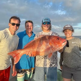 Red Snapper Fishing in Destin, Florida