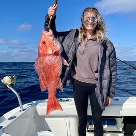 Red Snapper Fishing in Destin, Florida