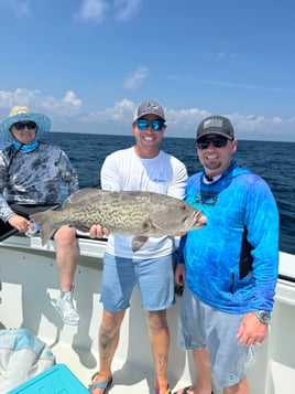 Gag Grouper Fishing in Destin, Florida