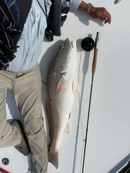 Redfish Fishing in Saint Bernard, Louisiana