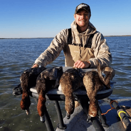 Early season teal South Padre Island