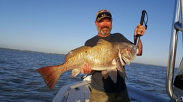 Black Drum Fishing in South Padre Island, Texas