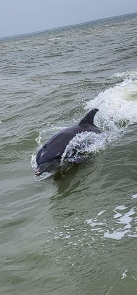 South Padre Island fishing